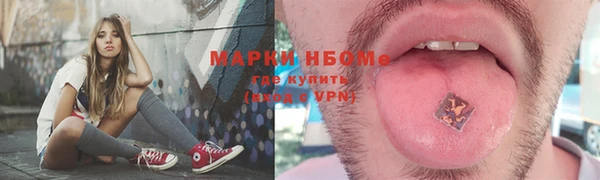 стаф Абаза