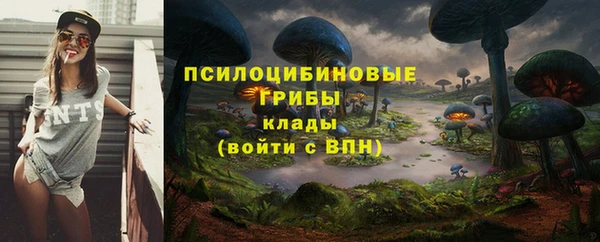 не бодяженный Аркадак