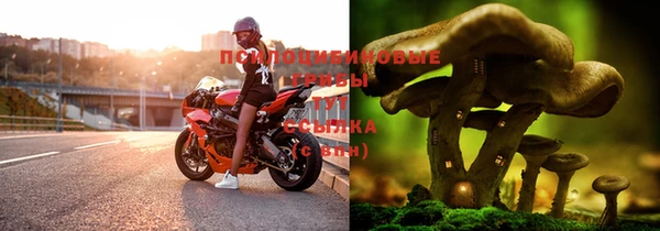 jwh Алзамай