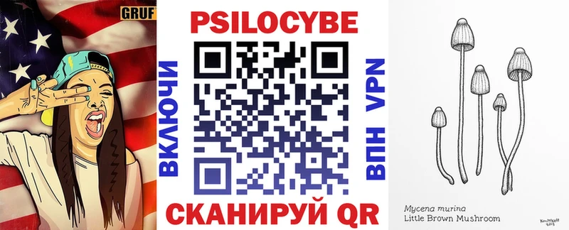 Псилоцибиновые грибы Psilocybine cubensis  Щёкино 